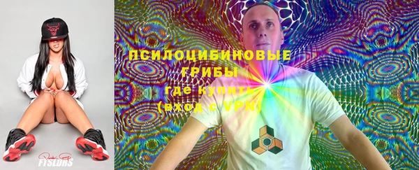 прущие крисы Богородск