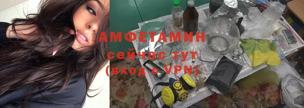 apvp Бородино