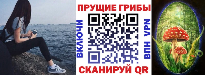 kraken ссылки  Выборг  Галлюциногенные грибы Cubensis  цена наркотик 