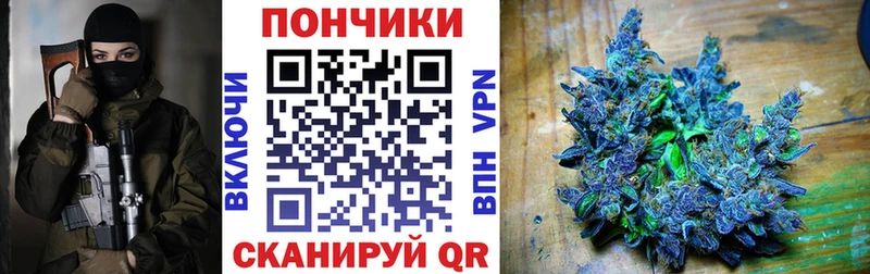 Бошки марихуана THC 21%  Выборг 